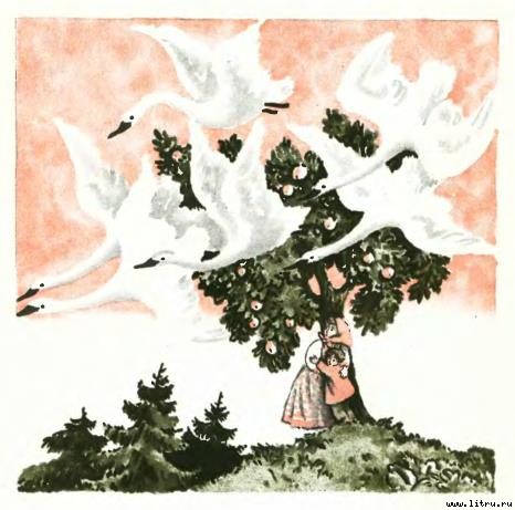 Гуси-лебеди - i_013.jpg