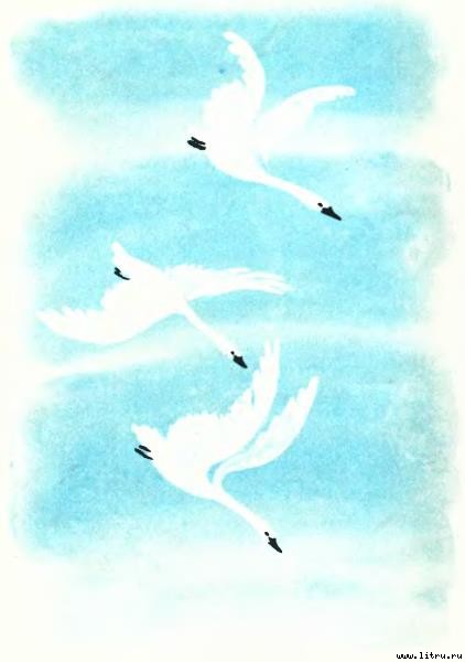 Гуси-лебеди - i_003.jpg