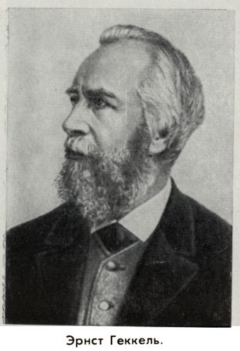 Владимир Ковалевский: трагедия нигилиста - kovale29.jpg