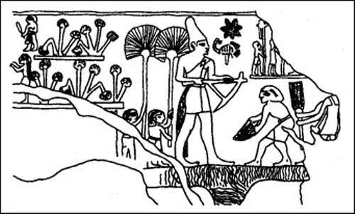 Путь Феникса. Тайны забытой цивилизации - i_038.jpg