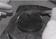 Гигабайты власти - i_020.jpg