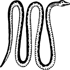 Тайная доктрина. Том III - i_003.png