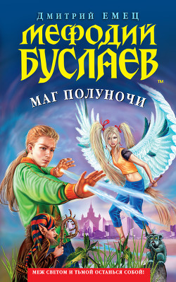 Серия книг Мефодий Буслаев