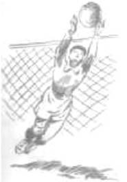 О ловкости и ее развитии - any2fbimgloader100.jpeg