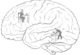 О ловкости и ее развитии - any2fbimgloader112.jpeg