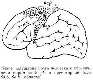 О ловкости и ее развитии - any2fbimgloader113.jpeg