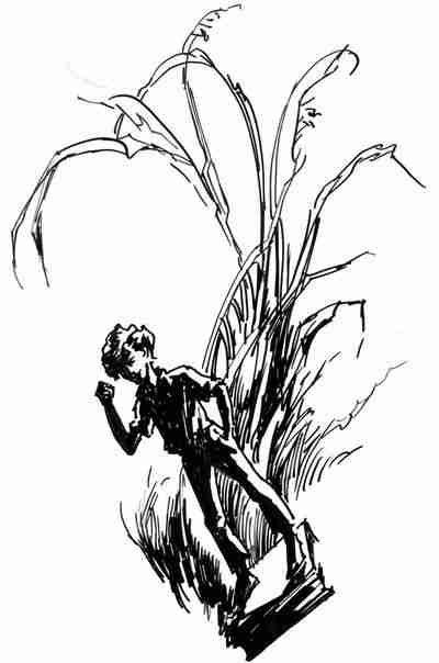 Кратокрафан - kratokrafan404.jpg