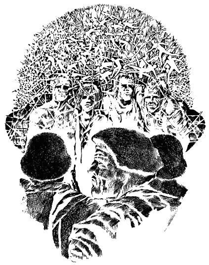 Опоздавшие к лету - any2fbimgloader8.png