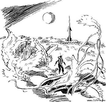 Живий мох - pic_1.jpg