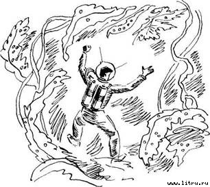 Живий мох - pic_2.jpg