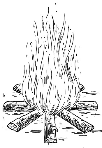 Как сохранить и приготовить рыбу на водоеме и дома - i_027.png