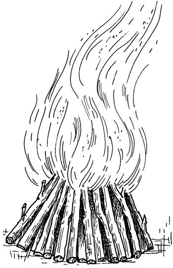Как сохранить и приготовить рыбу на водоеме и дома - i_029.png