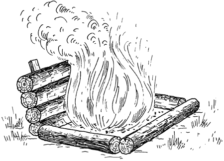 Как сохранить и приготовить рыбу на водоеме и дома - i_032.png
