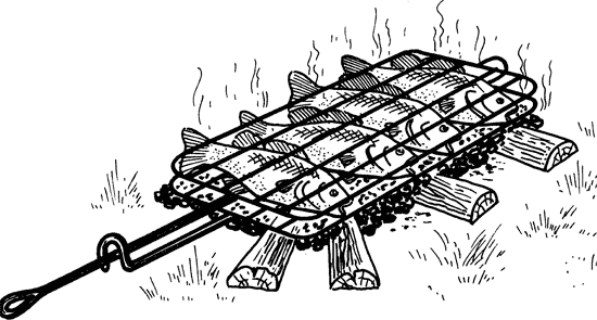 Как сохранить и приготовить рыбу на водоеме и дома - i_037.png