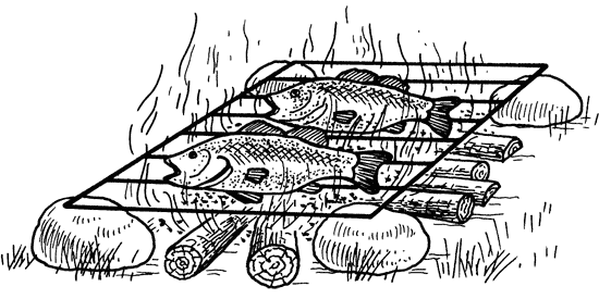 Как сохранить и приготовить рыбу на водоеме и дома - i_038.png