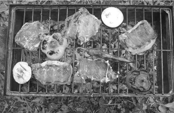 Как сохранить и приготовить рыбу на водоеме и дома - i_040.jpg