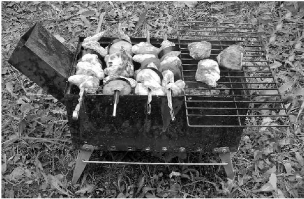 Как сохранить и приготовить рыбу на водоеме и дома - i_042.jpg