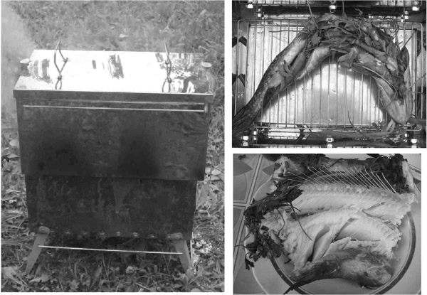 Как сохранить и приготовить рыбу на водоеме и дома - i_043.jpg