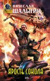 Ярость Сокола - Шалыгин Вячеслав Владимирович