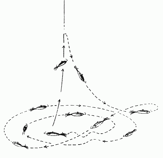 Балансиры и безнасадочные мормышки - i_081.png