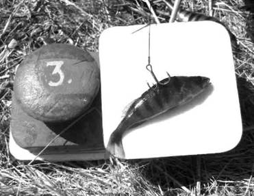 Кружки, жерлицы, поставушки – рыбалка без проколов - i_056.jpg