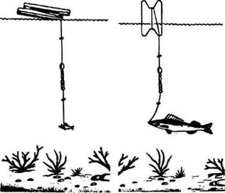 Кружки, жерлицы, поставушки – рыбалка без проколов - i_072.jpg