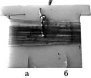 Кружки, жерлицы, поставушки – рыбалка без проколов - i_085.jpg