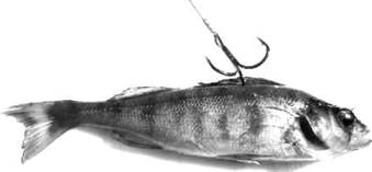 Кружки, жерлицы, поставушки – рыбалка без проколов - i_101.jpg