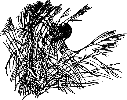 Рассказы и сказки - i_022.png