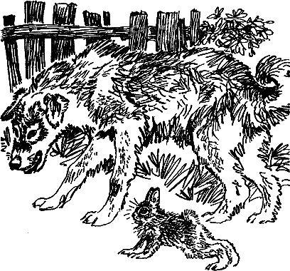 Рассказы и сказки - i_038.png