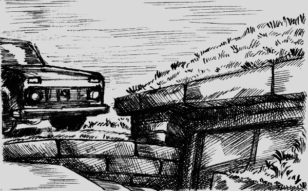 Секрет мрачного подземелья - i_006.jpg