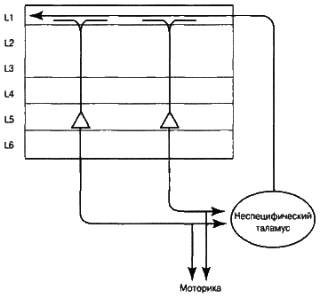 Об интеллекте - i_10.png