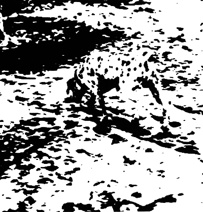 Об интеллекте - i_13.png