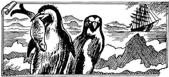 Полярные моря - pic_6.jpg