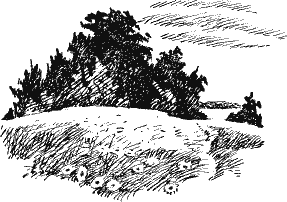 Человек Иван Чижиков, или Повесть о девочке из легенды - Chivch00.png