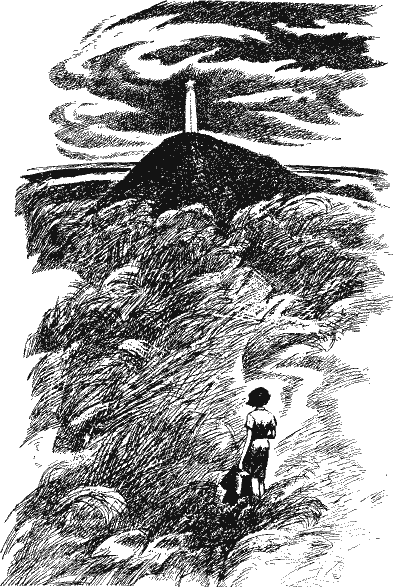 Человек Иван Чижиков, или Повесть о девочке из легенды - Chivch12.png