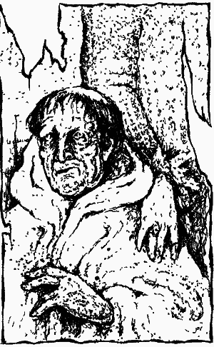 Тень власти - i_004.png