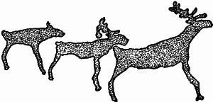 Лапландцы. Охотники за северными оленями - i_011.png