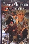Серия книг Волки Аракана