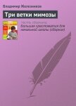 Три ветки мимозы - Железников Владимир Карпович