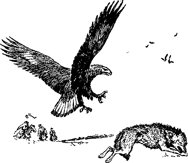 Там, где белеют палатки юннатов - Tamgb081_.png