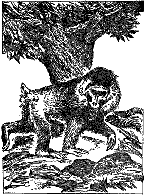 Подземелья Черного замка - i_062.png