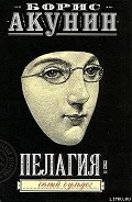 Серия книг Провинциальный детектив, или Приключения сестры Пелагии