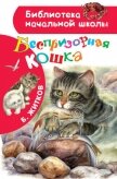 Беспризорная кошка - Житков Борис Степанович