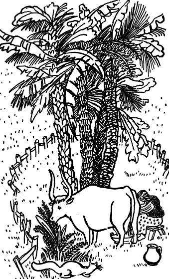 Кошка, гулявшая сама по себе - i_007.png