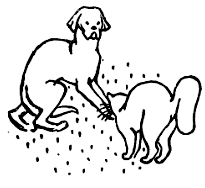 Кошка, гулявшая сама по себе - i_013.png