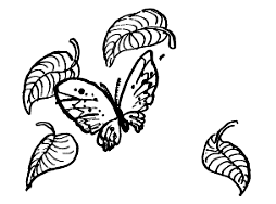 Мотылек, который топнул ногой - i_006.png