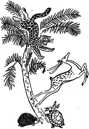 Откуда взялись броненосцы - i_001.png