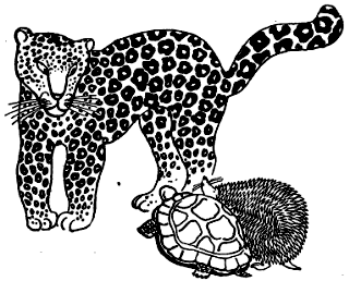 Откуда взялись броненосцы - i_002.png