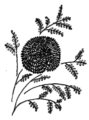 Откуда взялись броненосцы - i_003.png